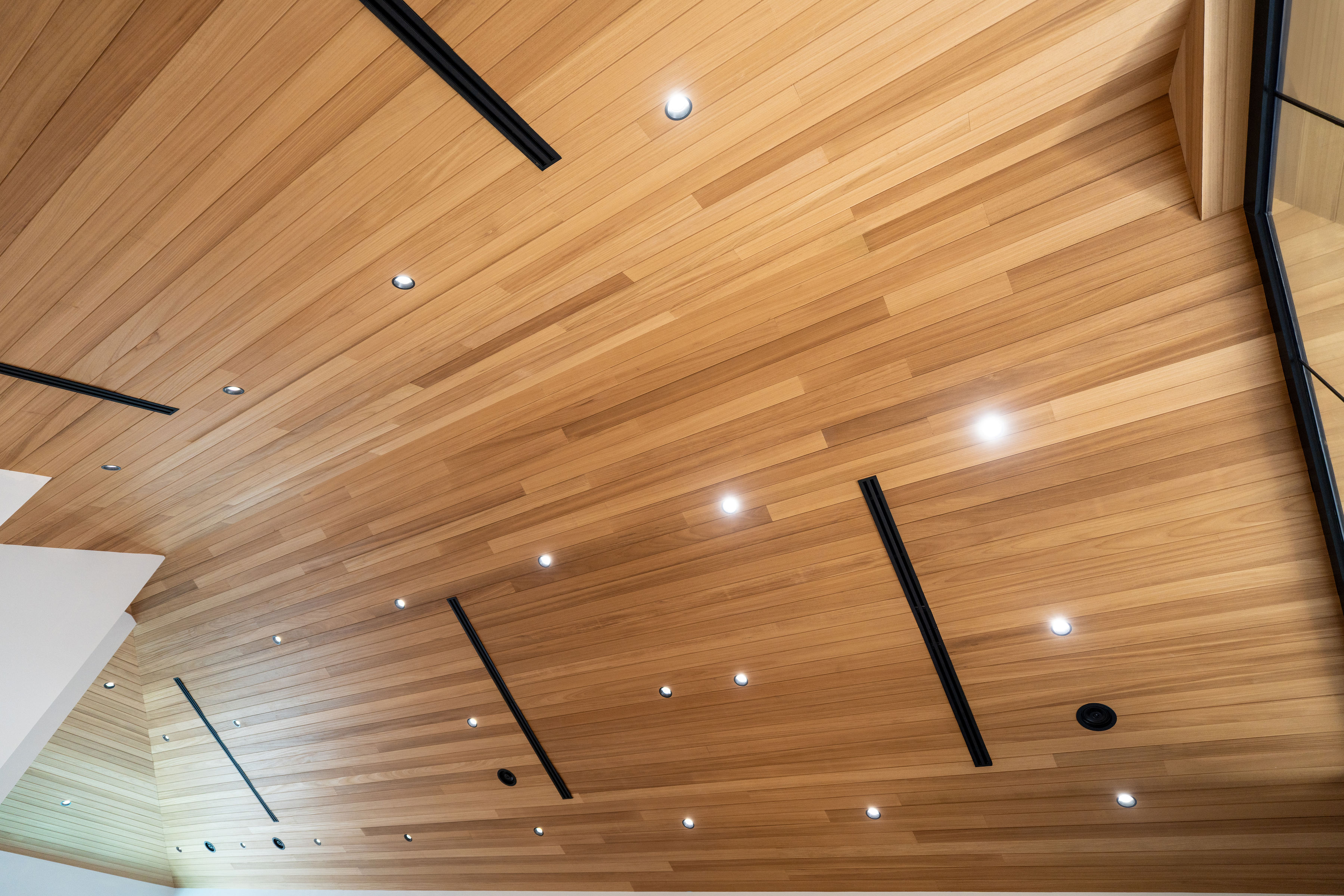 Thermo Ayous ceiling interior