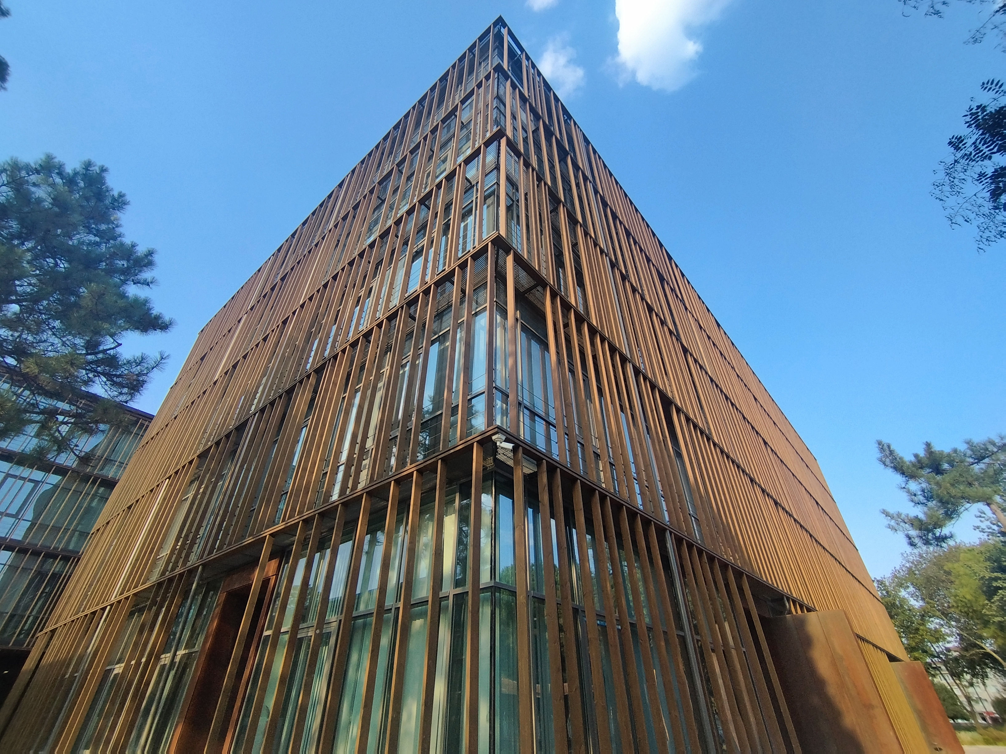 Thermally modified cladding on a commercial architectural project