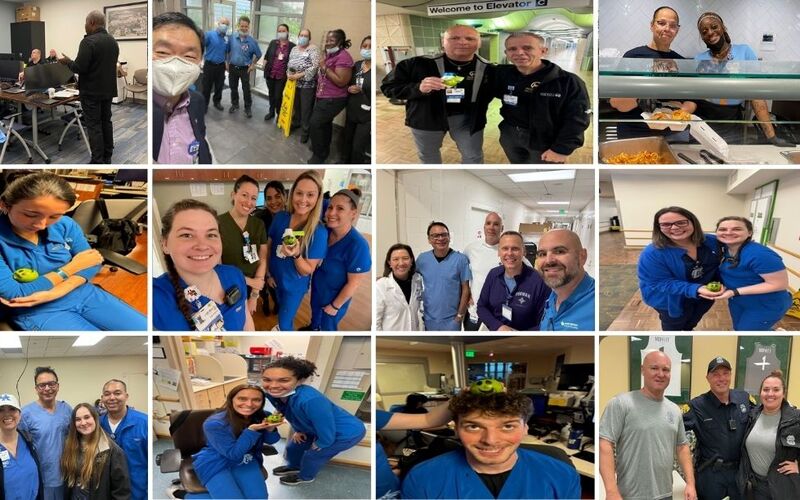 Hurricane Team Member collage