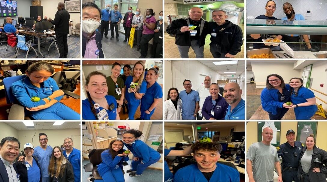 Hurricane Team Member collage