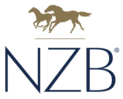Sponsor logo