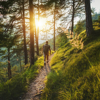 Sunset through trees on hiking trail
