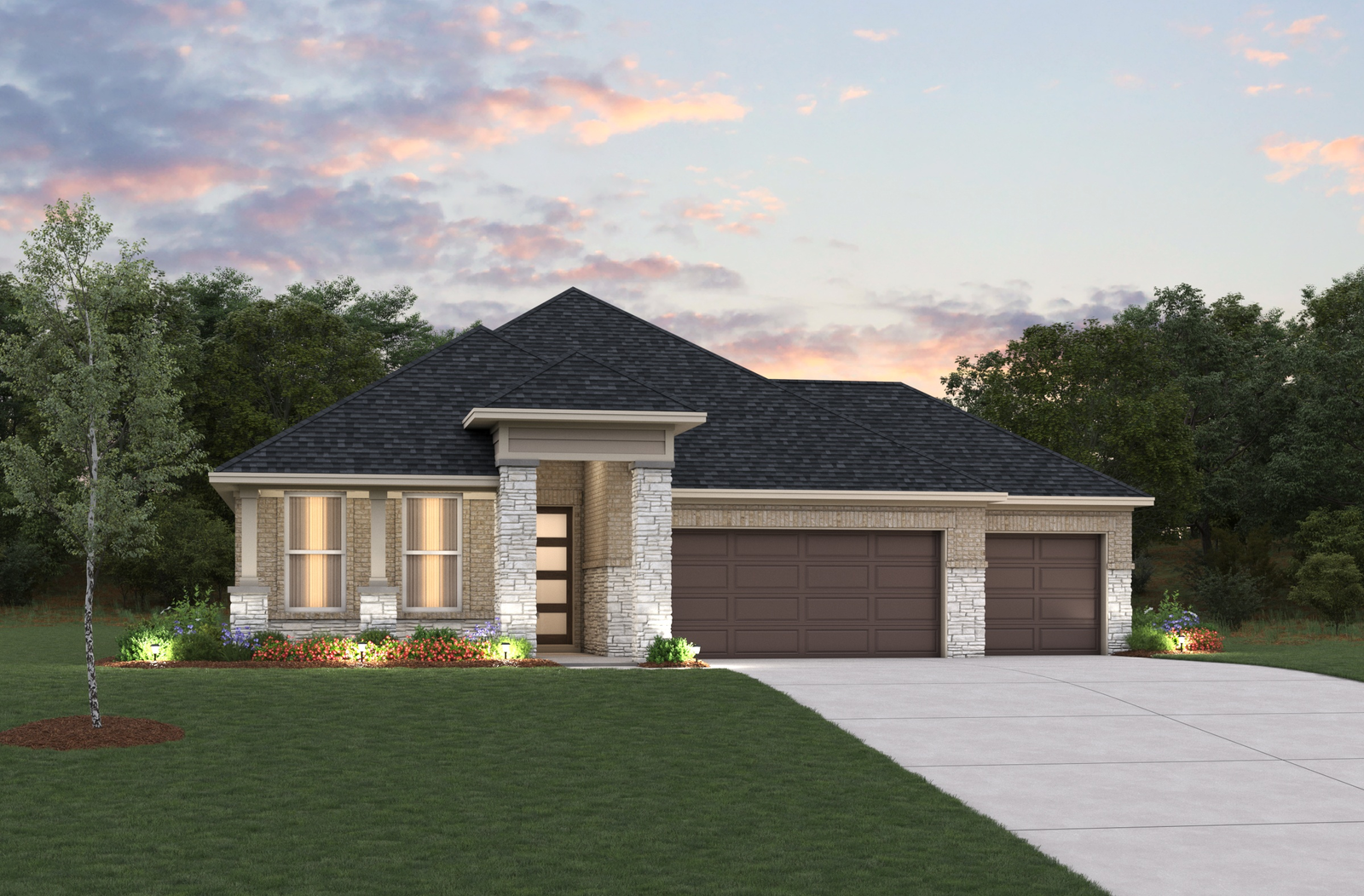 Card image for Palmetto