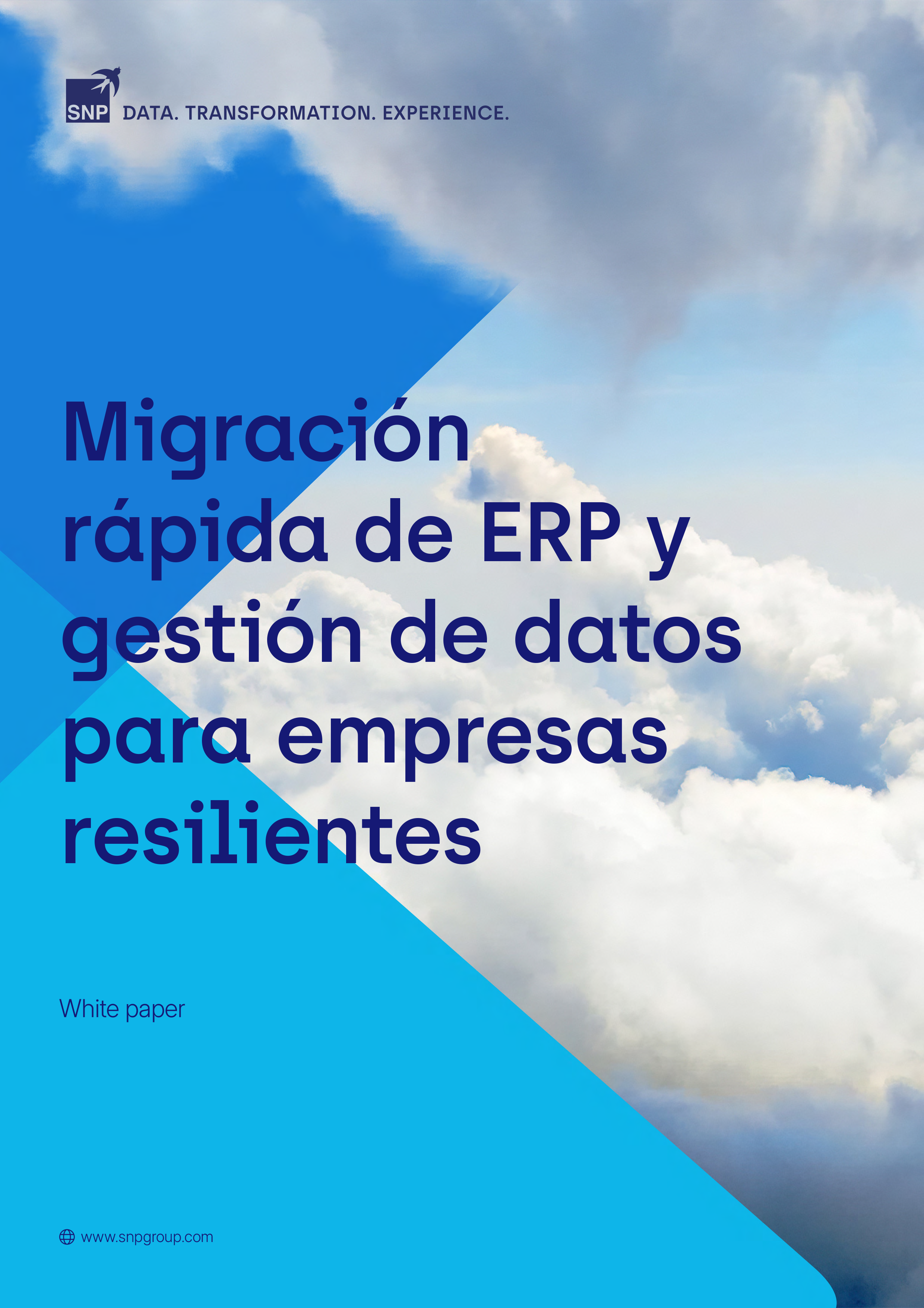 Rapid ERP migration white paper ES.png