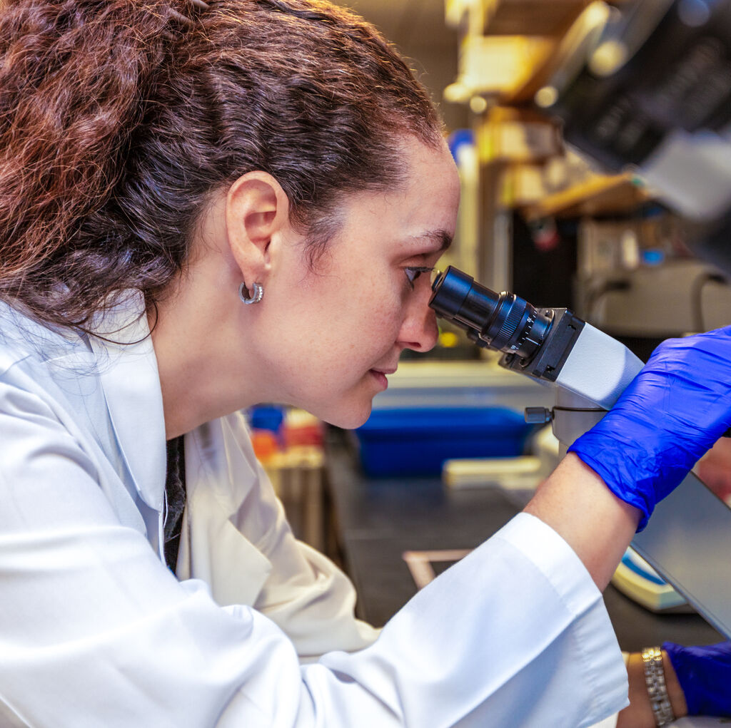 researcher in Locke Lab looks in microscope
