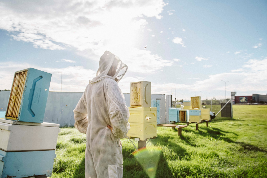 Robina-Neighbourhood-Honey