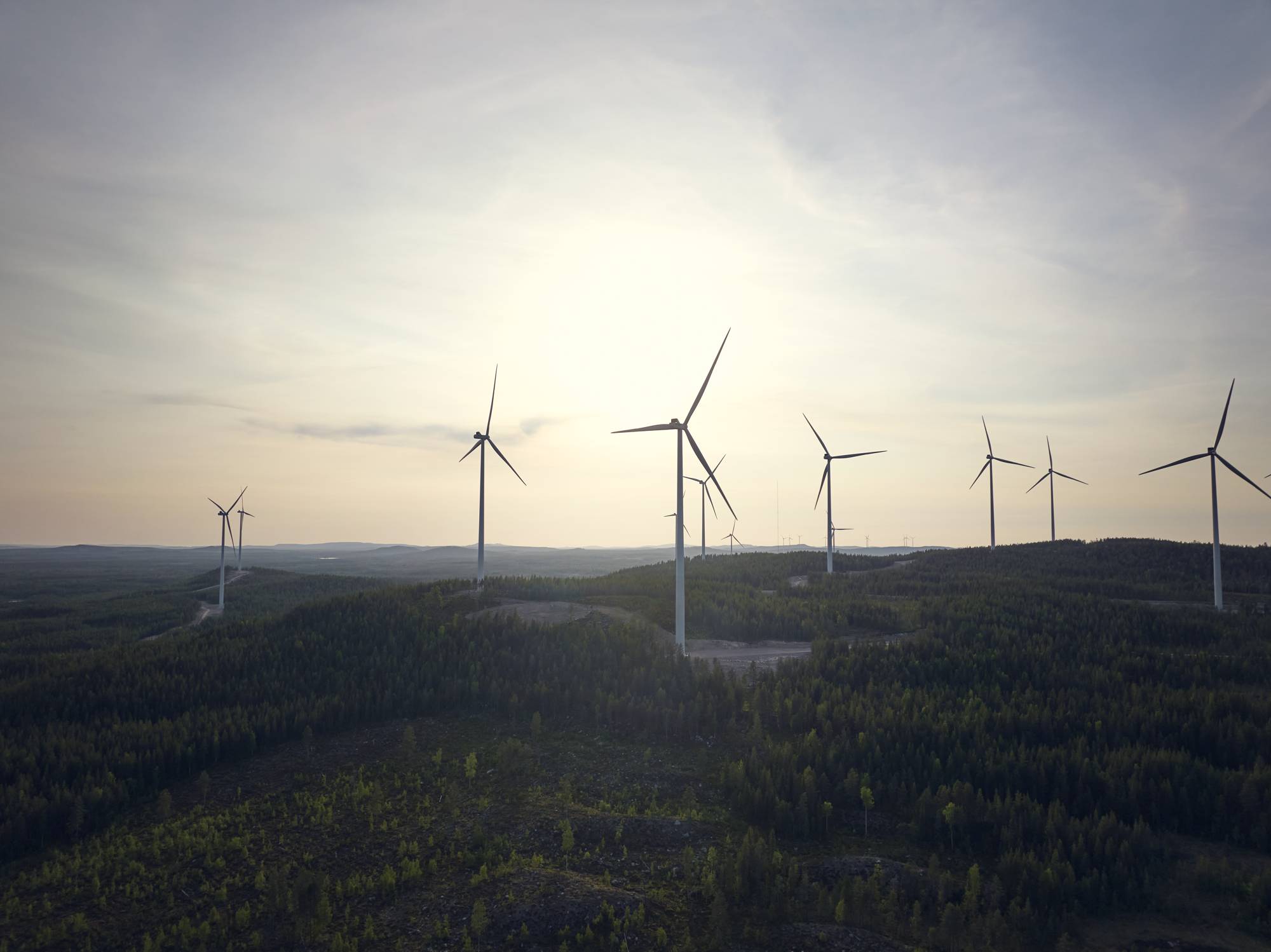 Vindkraftverk i skogen.