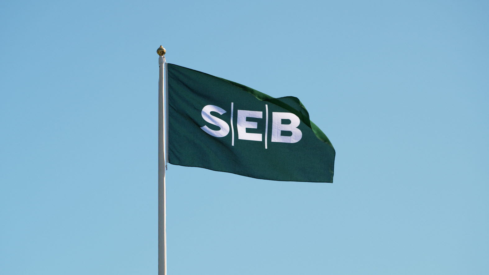 Flag with SEB logo