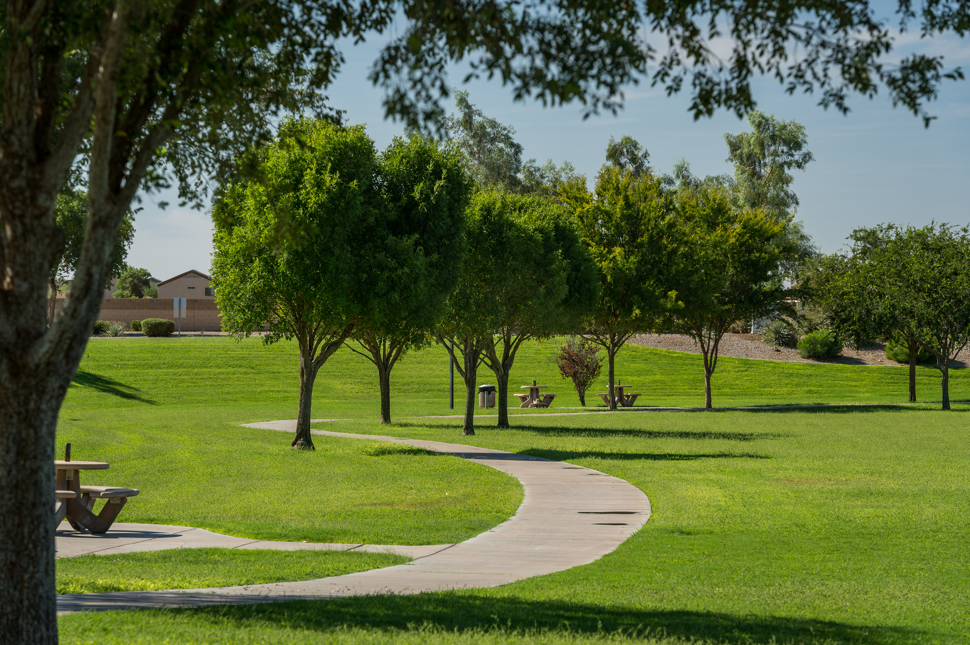 San Tan Valley Neighborhood Page