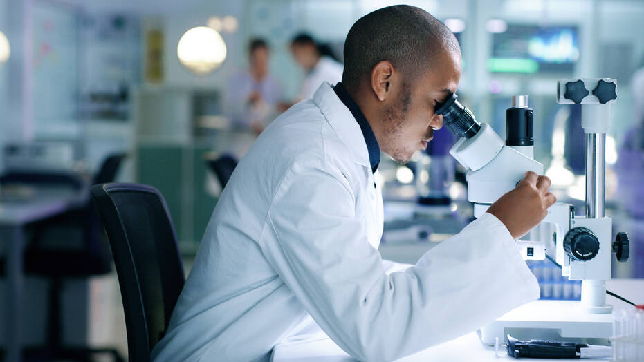 Scientist looking at sample through a microscope