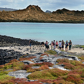 Birding Tours in Ecuadorian Andes