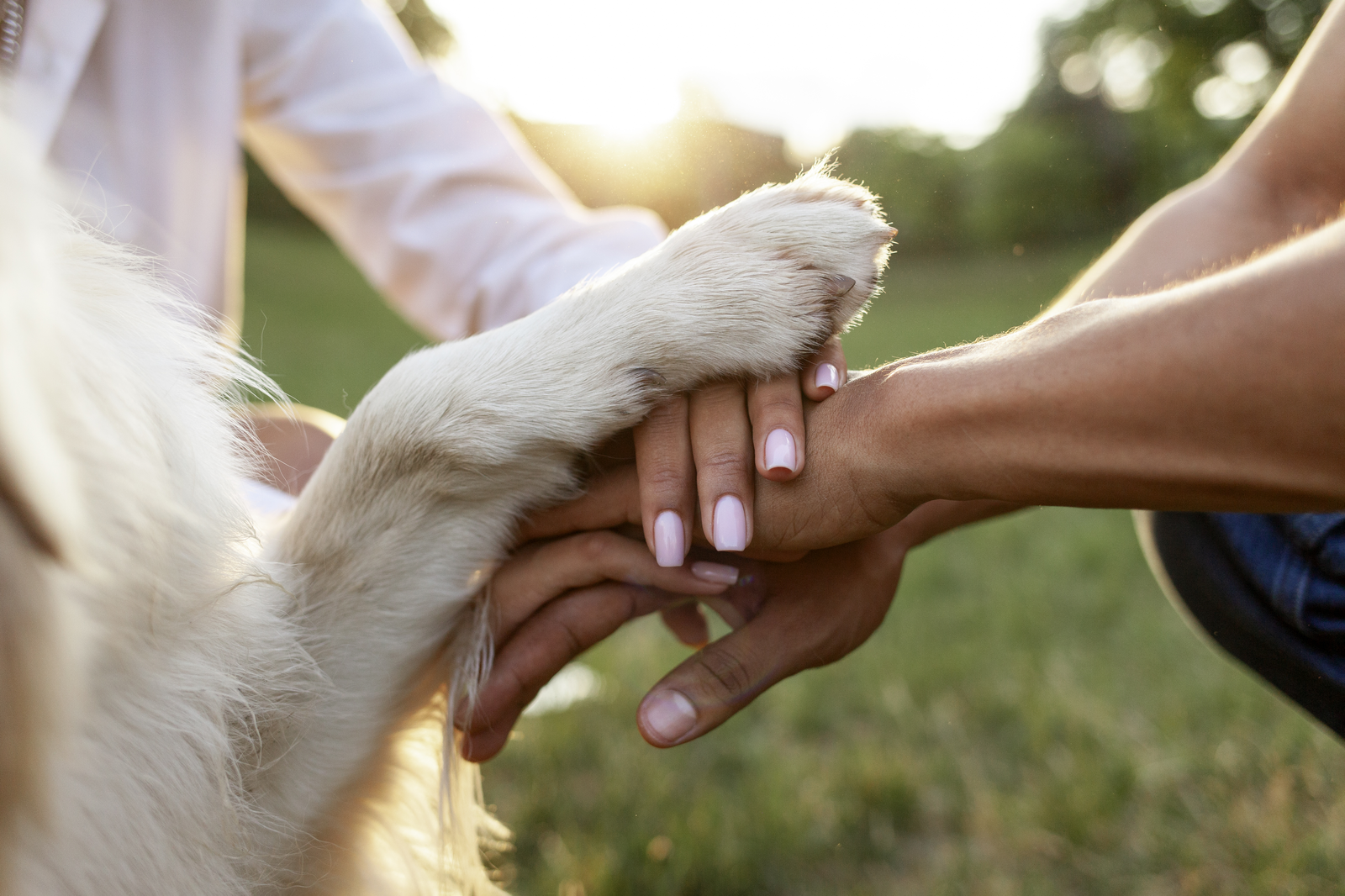 Stock Lifestyle Photography
