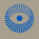 HOYA graphic: blue eye on grey background