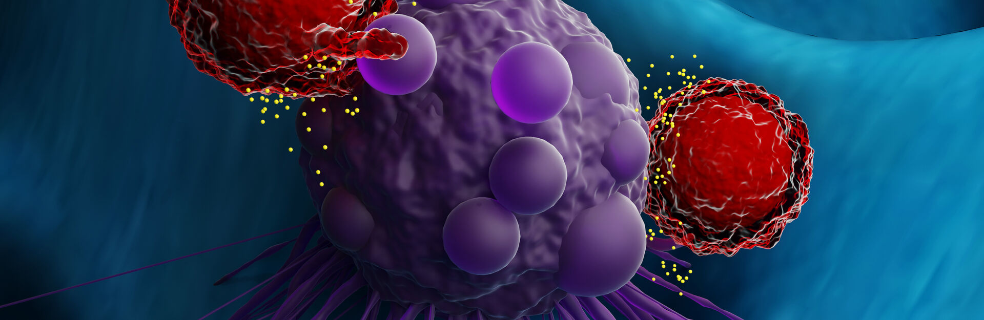 Graphic of a cancer cell being attacked by immune cells
