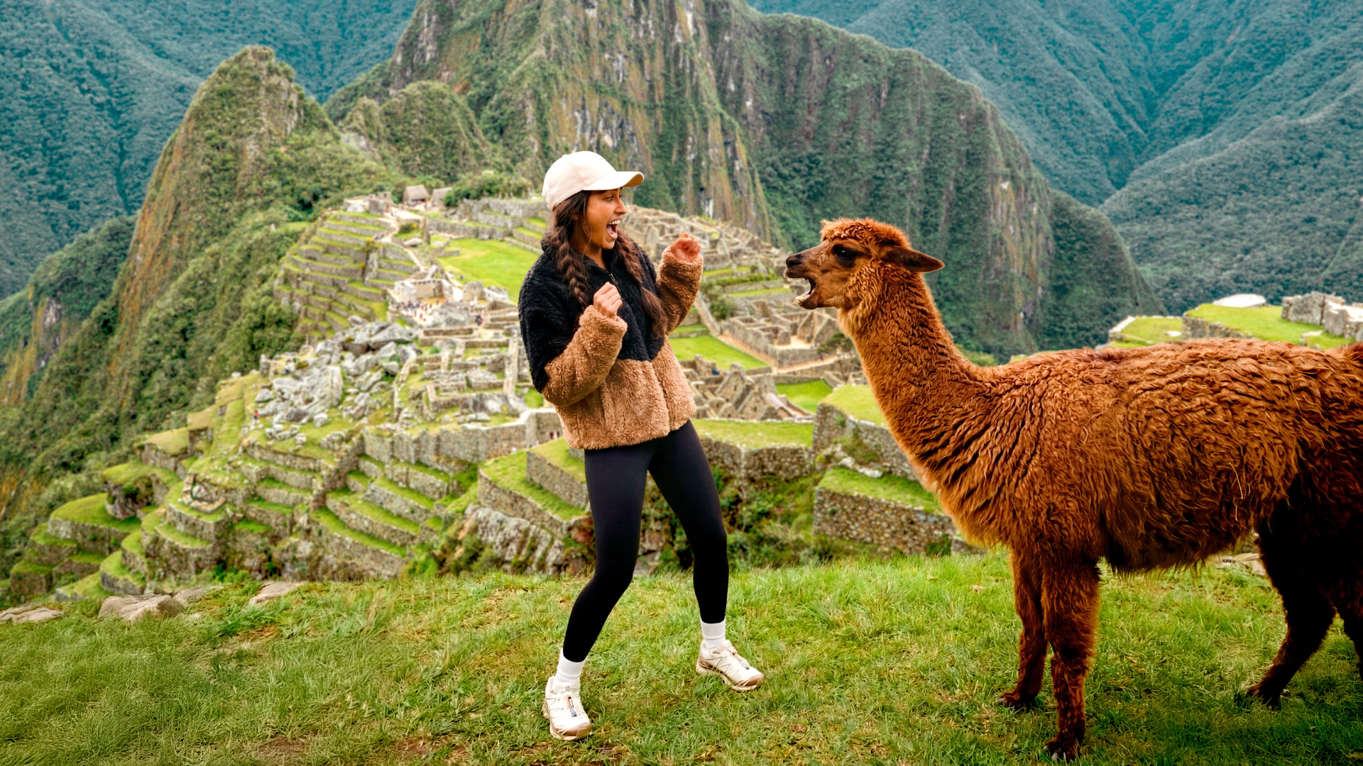 Traveller being scared by a llama whilst overlooking the ruins of Machu Picchu, Peru