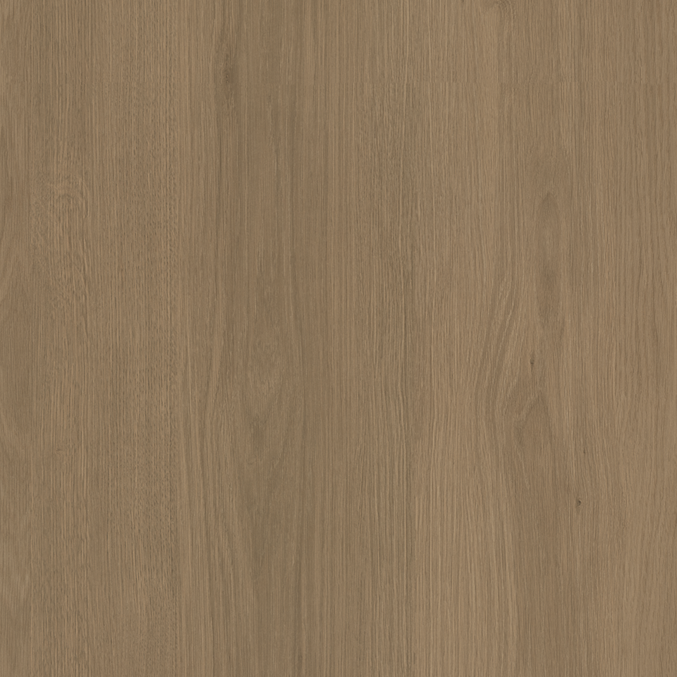 Tafisa_ICONIQ_Prodigy_M2064_Q_Closeup