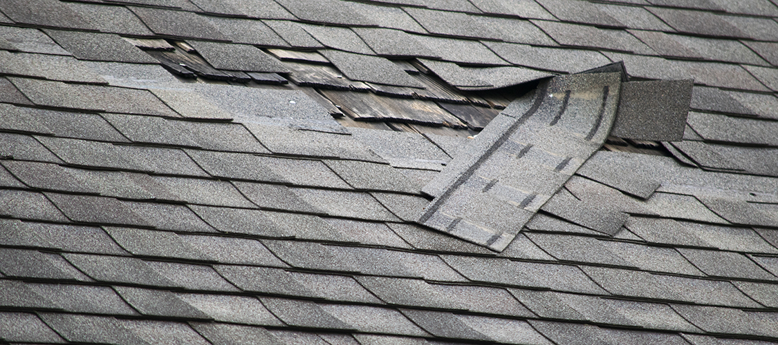 Damaged shingles on a roof