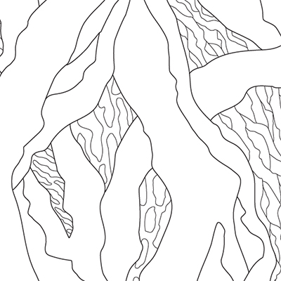 Katie Whyte Colouring In