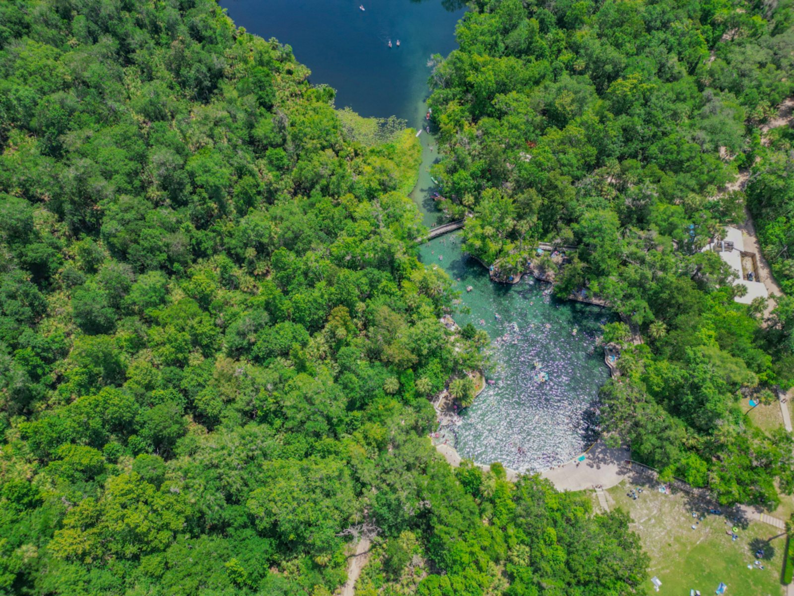 overlook of wekiva springs and the river
