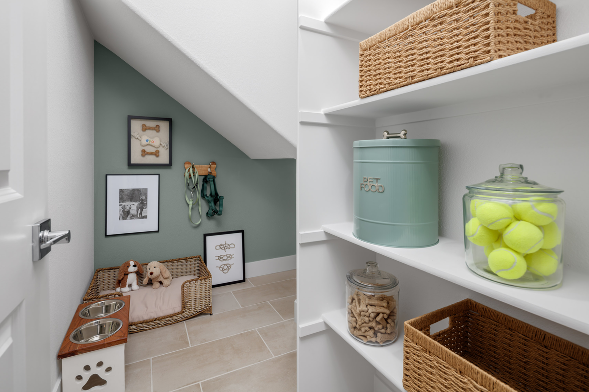 storage room with shelves and green wall