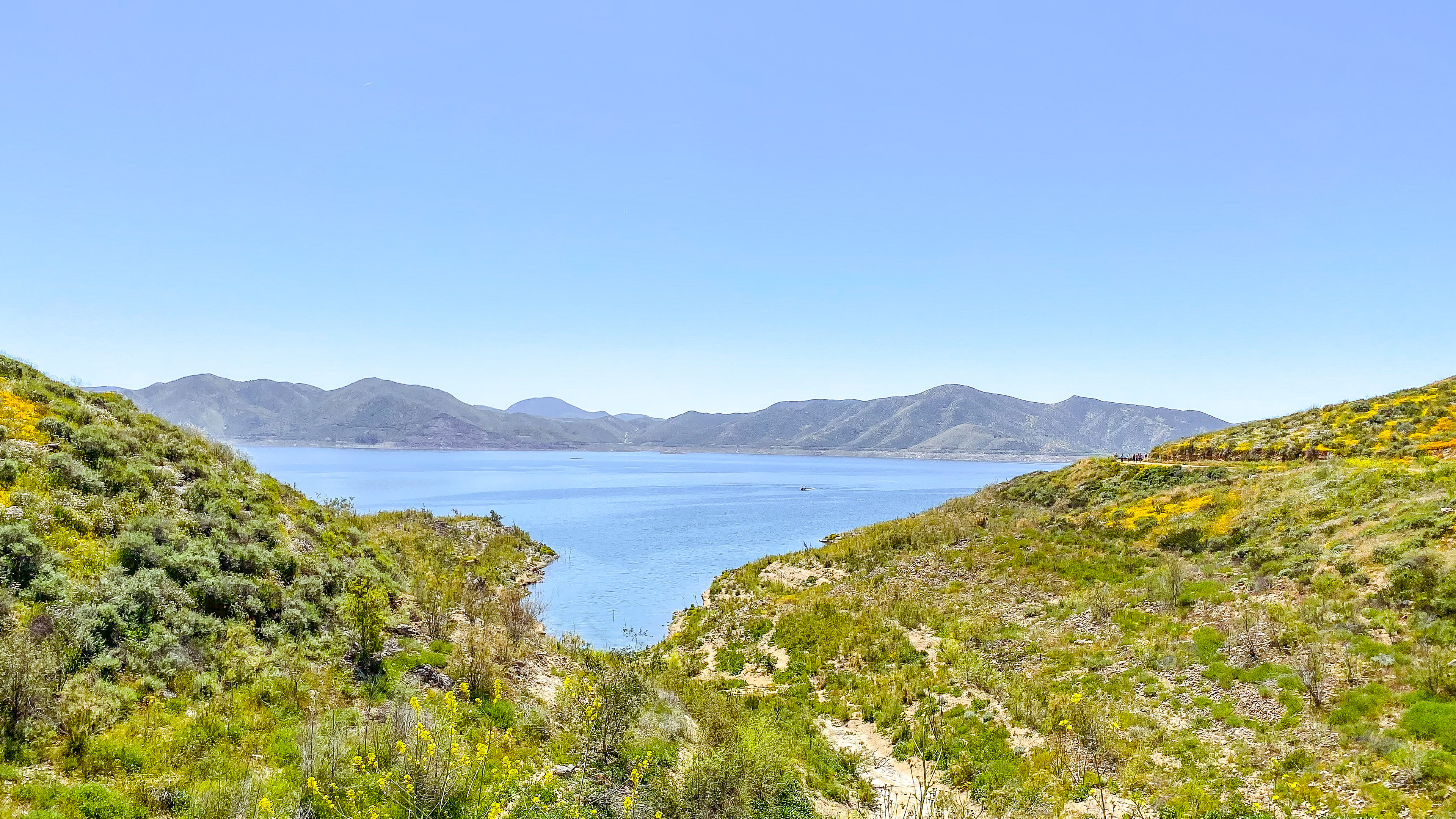 Winchester - Diamond Valley Lake.jpg