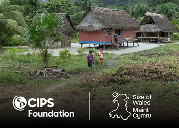 A scene in a rural village with children walking on a dirt path in front of traditional, thatched-roof houses. The CIPS Foundation and Size of Wales logos are shown at the bottom.