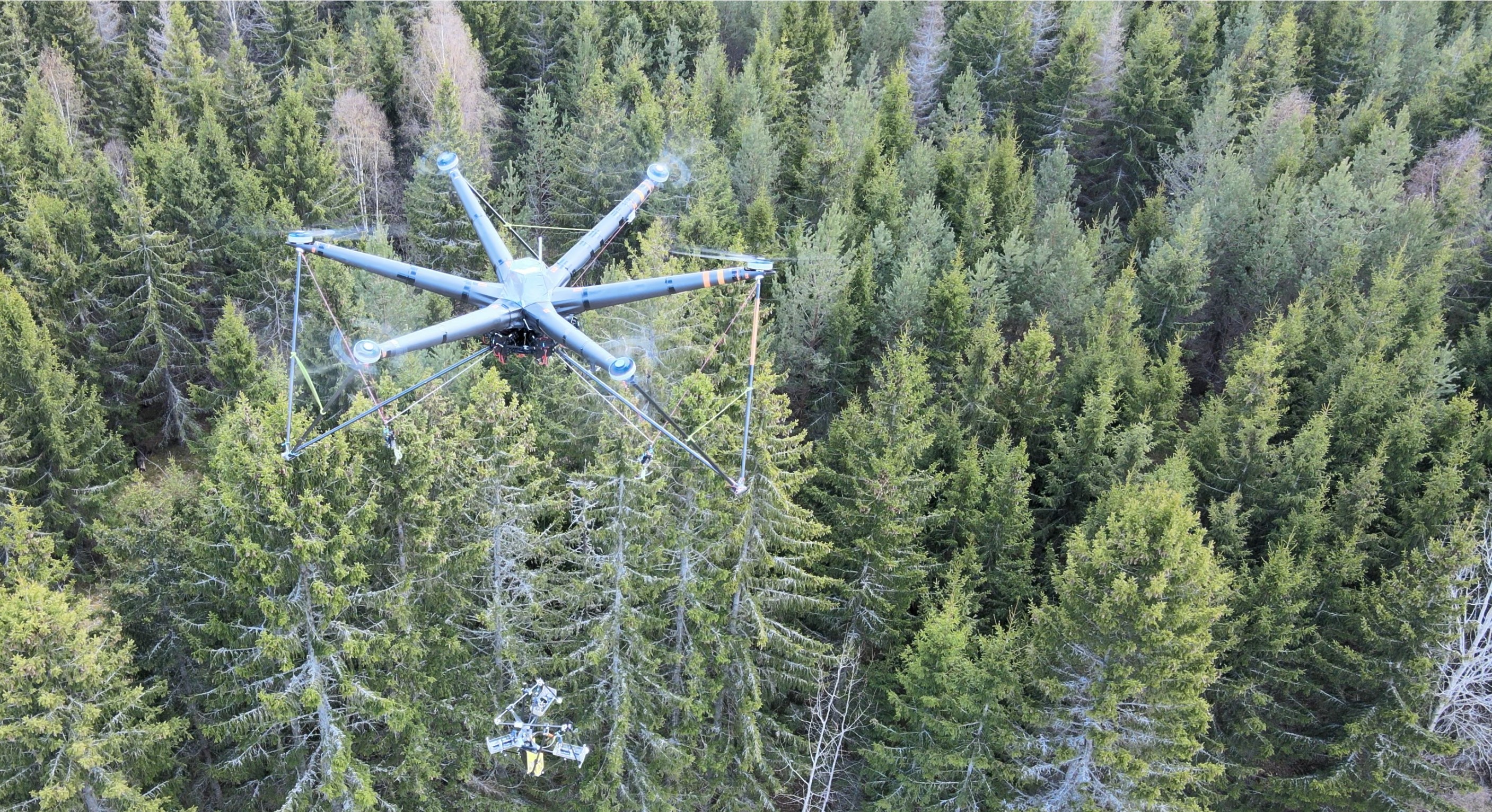 AirForestry has developed drones that harvest trees from the air