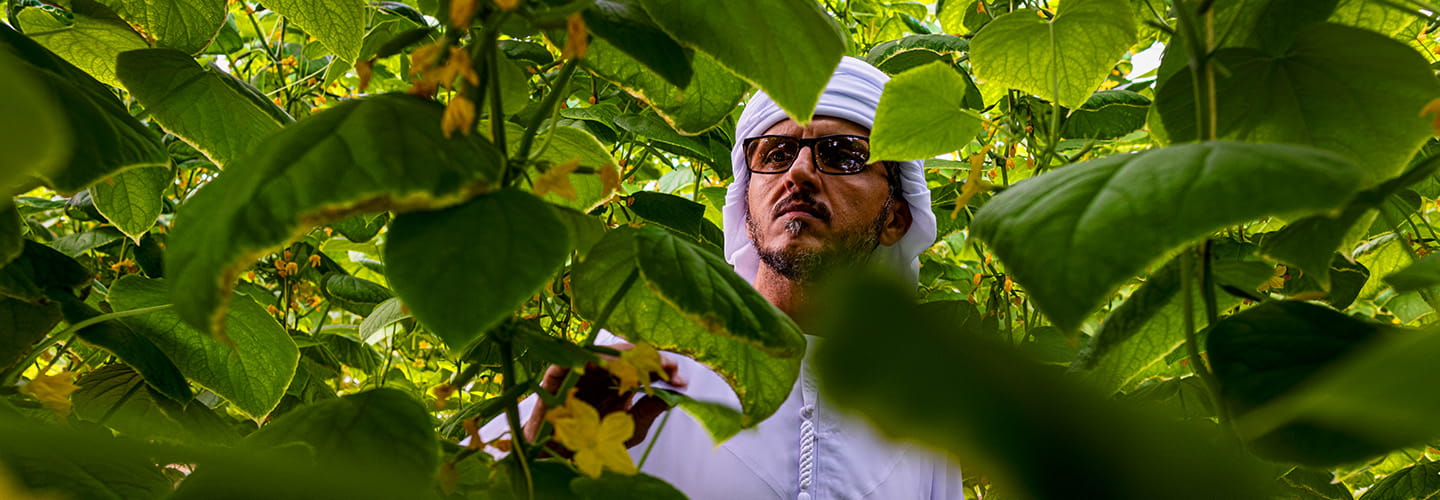 Energy-Efficient Tips Every Homebuyer Should Know | Aldar