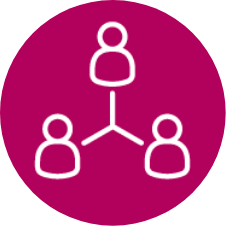 Icon that looks like a user chart of 3 people all connected with lines,  icon is placed in maroon circle with the icon outlined in white