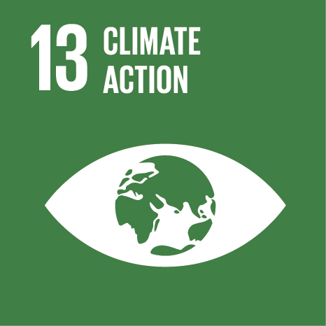 Icon of eye with a globe where pupil would be, text '13 climate action'