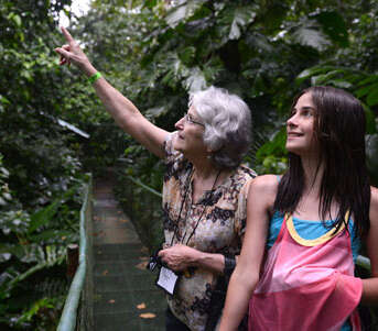 An older woman points up at the rainforest canopy for a young girl as they stand on a bridge in Costa Rica.