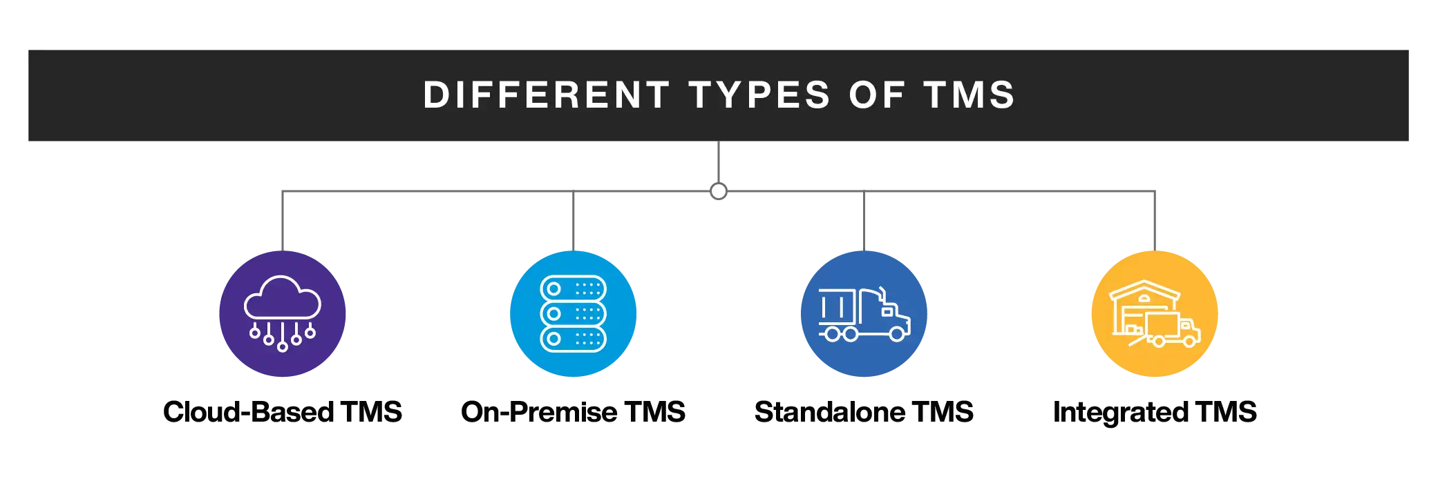 Different Types of TMS
