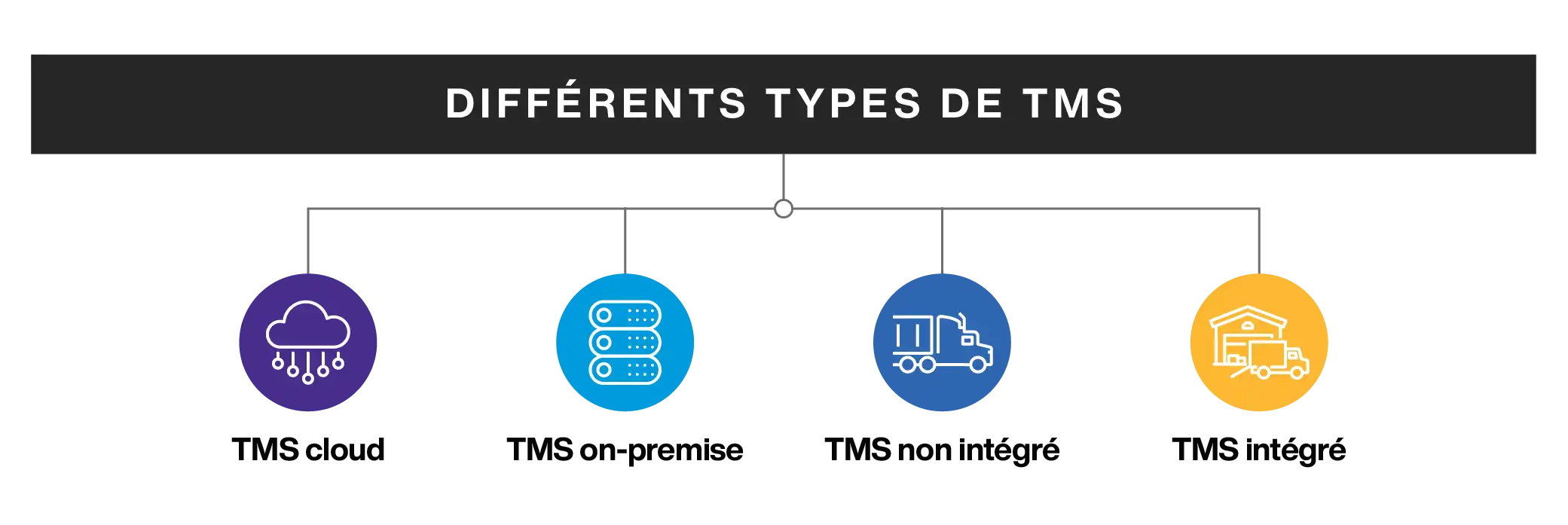 Different Types of TMS
