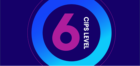 A graphic showing the number "6" in pink and purple text inside a blue and cyan concentric circle design, with the words "CIPS LEVEL" written vertically, on a dark blue background.