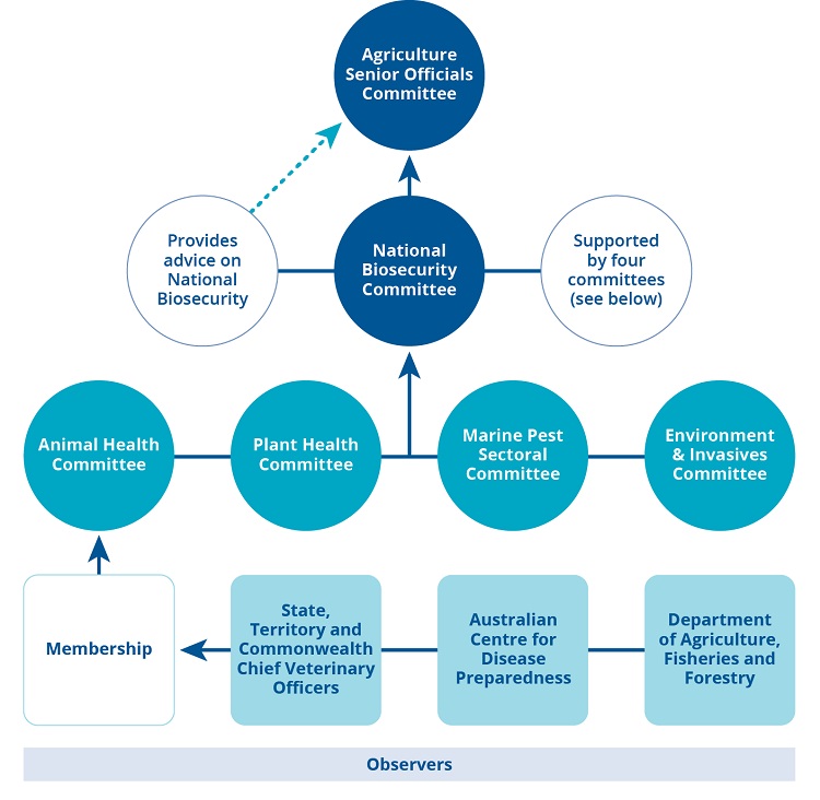 flow-chart-showing-ahc-members.jpg