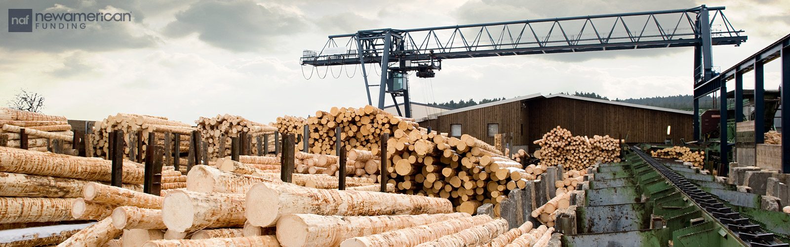 wood logging