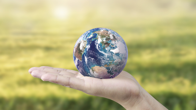 Earth in hand to Depict environmental and sustainability Initiatives