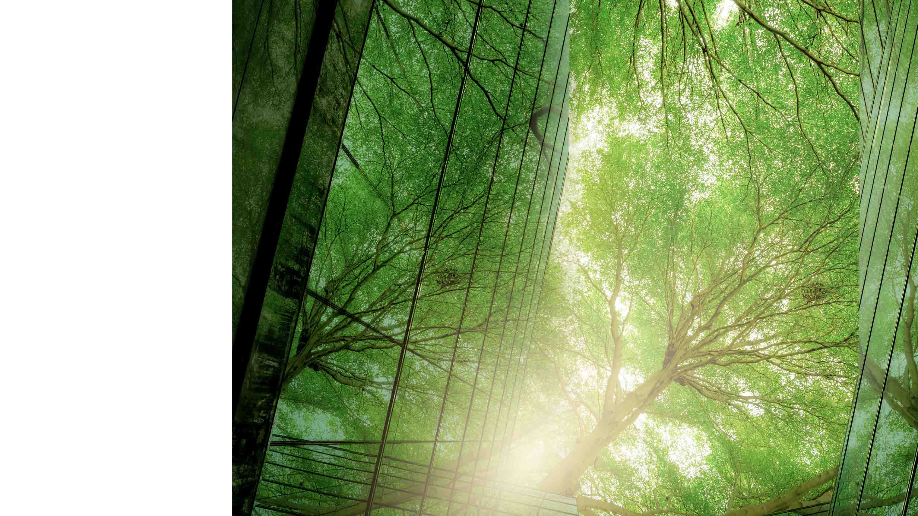 Sustainability