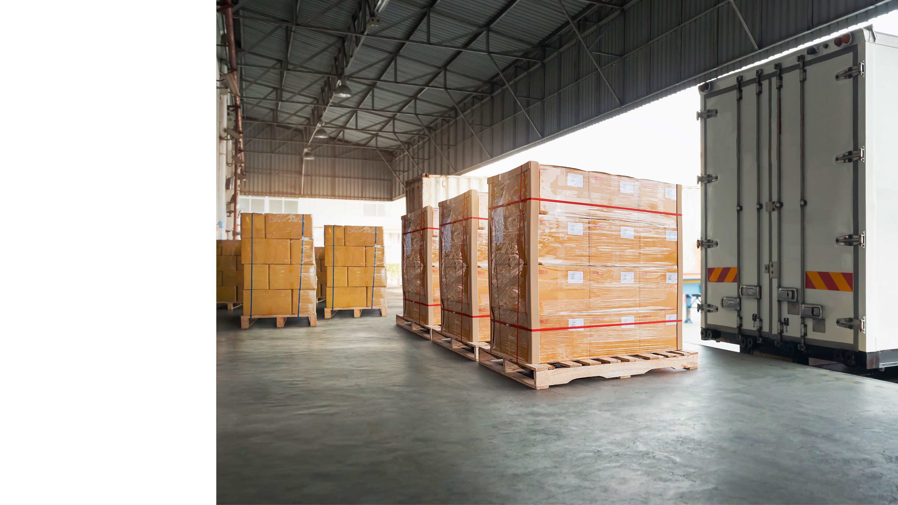 masthead_dtp_wholesale.jpg Wholesale