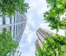 Coates commits to net zero emissions by 2040