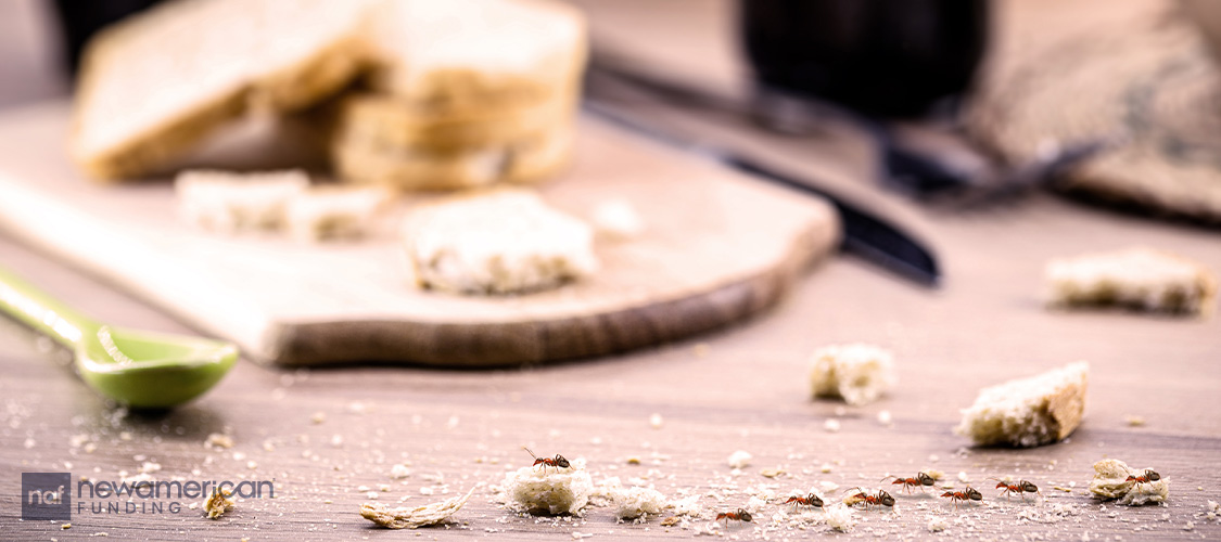 A line of ants walking across a table with bread crumbs.