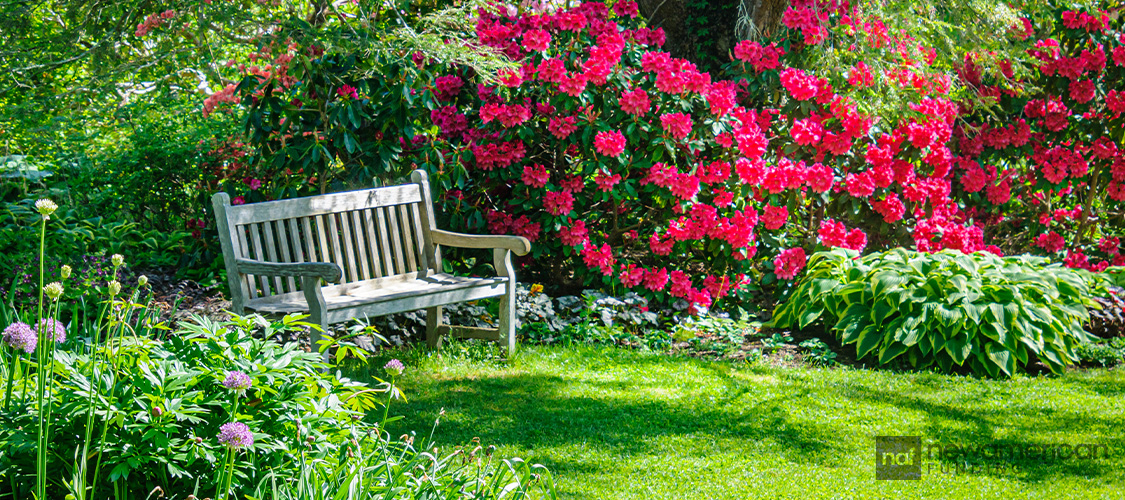 A bench in the corner of a garden.
