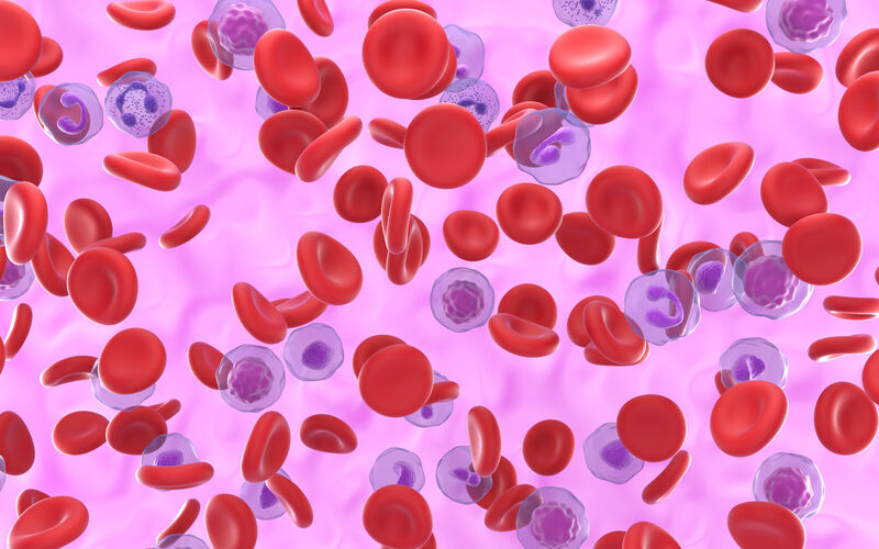 graphic image of excess red blood cell and what the blood stream would look like if you had polycythemia vera