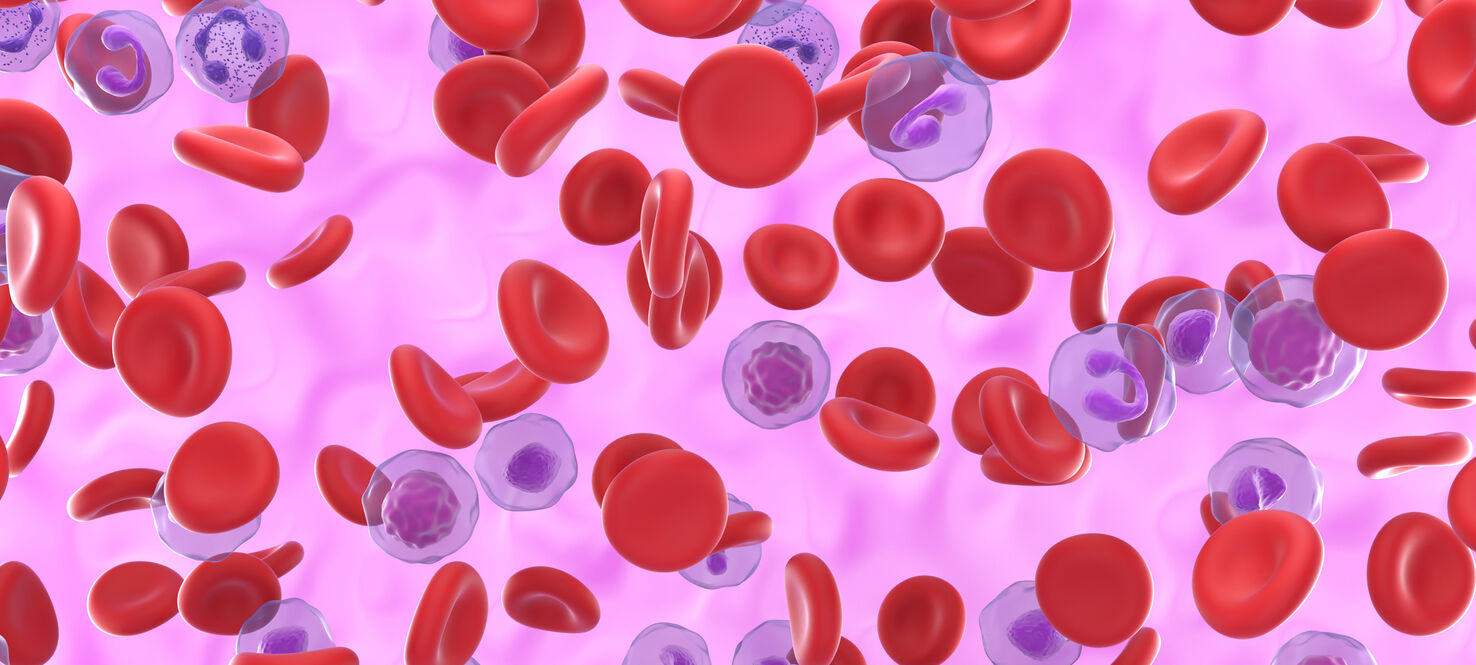 graphic image of excess red blood cell and what the blood stream would look like if you had polycythemia vera