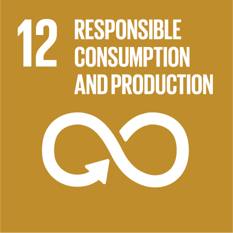 Recyling icon of circular arrows, text 'responsible consumption and production'