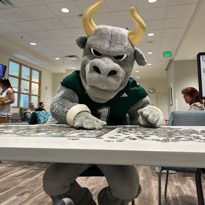 USF mascot Rocky!