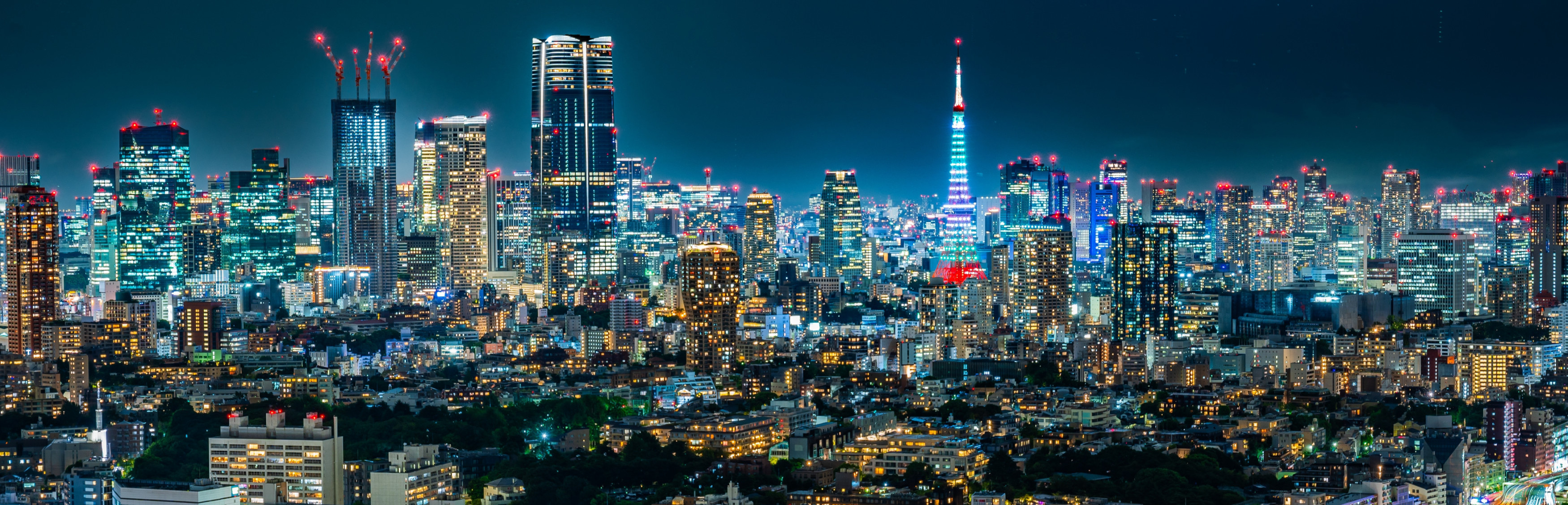 Large skyline view of Tokyo, Japan, at night