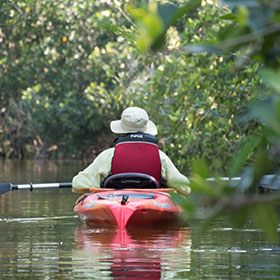 Kayaking the Florida Everglades