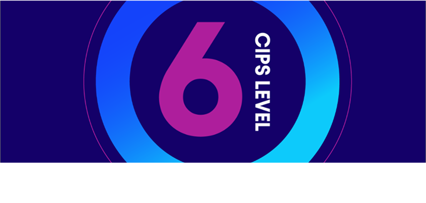 A large magenta number 6 centered within a blue-to-light blue gradient ring on a dark blue background, with the text CIPS LEVEL written vertically along the right side.