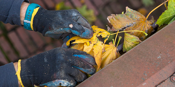 A person cleans out leaves from the gutters of a house
